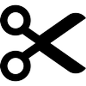 Salon Belladonna - Logo