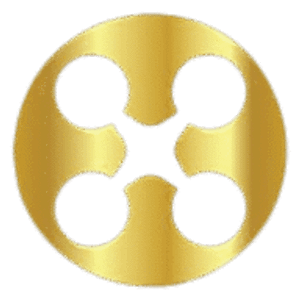 Drone and Photo - Logo