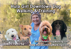 Hula Girl Downtown Dog Walking & Training - Logo