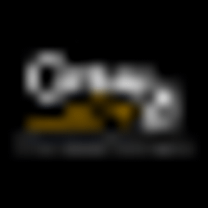 Century 21 Platinum Partners - Logo