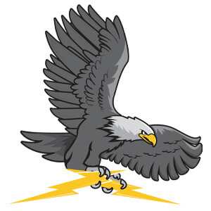 Bonham Electric Inc. - Logo