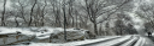 Tom Nash Snow Removal - Logo