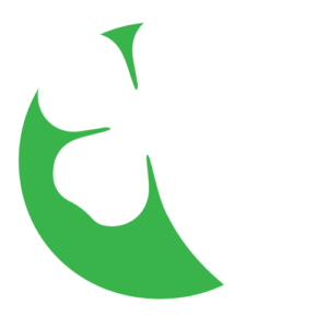 Flannery Painting - Logo