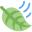 Bella Landscape