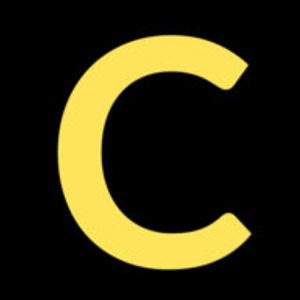 Brows By Chandnis - Logo
