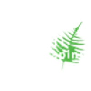 Mixon Landscaping