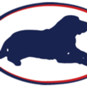 Big Dog Landscaping LLC - Logo