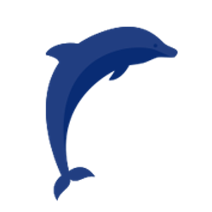 Surf's Up Dolphin Cruises