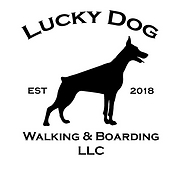 Lucky Dog