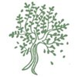 Serenity Tree Yoga - Locally Owned Charleston Bachelorette Yoga, Wedding Yoga, Private Yoga, & Beach Yoga Classes - Logo