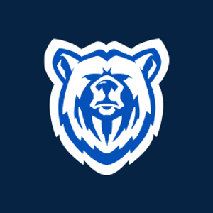 Blue Bear Roofing and Construction LLC - Logo