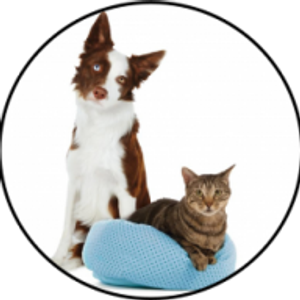 Humane Society of North Iowa - Logo