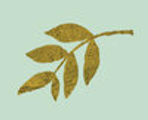 The Bungalow On 2nd - Logo