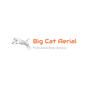Big Cat Aerial - Logo