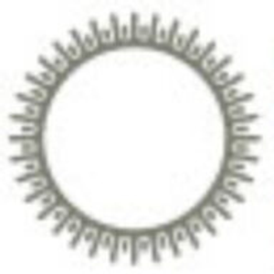 Dr. Hayden H. Franks - Logo