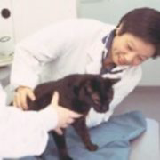 Loving at Home Pet Euthanasia - Logo
