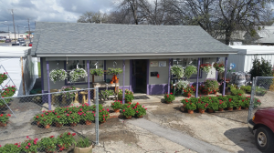 Weaver Plant Nursery - Logo