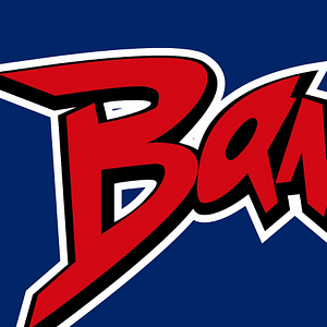 Bandit Fitness Equipment - Logo