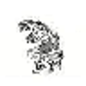 Mud Monster Stucco - Logo