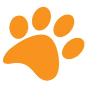 Puppy Haven - Smyrna - Dog day care center in Smyrna
