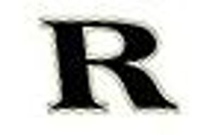 Ribeiro Enterprises, Inc. - Logo
