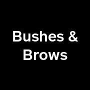 Bushes & Brows - Logo
