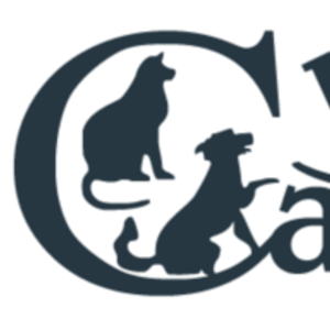 Bellevue Animal Clinic - Logo