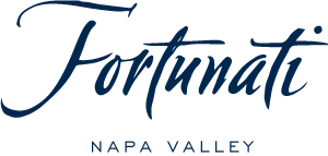 Fortunati Vineyards Private Wine Tasting Lounge Napa Valley