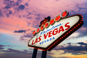 Vegas Real Estate Advisors - Team Meadows | Lic. No S.0184480 - Logo