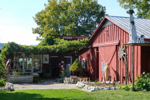 Norton's Gallery