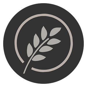 Mustard Seed Boutique - Logo