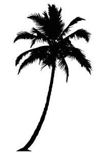 American Home Mortgage Group - The WAVE Team - Michael J. Akialis NMLS #832250 and Preston Combs NMLS #2642374 - Logo