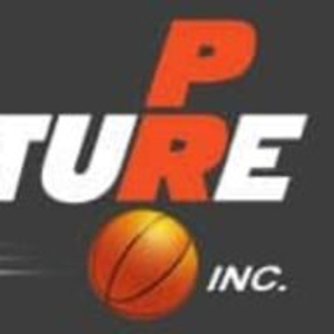 Future Pro Inc - Logo