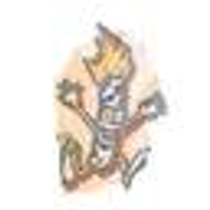Pellet Stoves & More