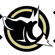 Absolute Control Dog Training Academy