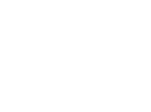 Petaluma Acupuncture Center