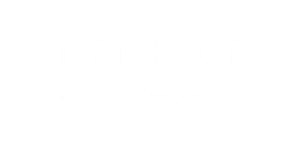 Stephney Permanent Jewelry Studio - Logo