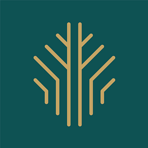 Infinite Life Chiropractic - Logo