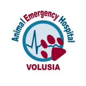 Animal Emergency Hospital Volusia