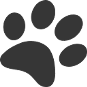 Rogue K9 Academy