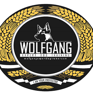 Wolfgang Expert Dog Training