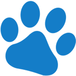 Purrfect Grooming - Mobile Pet Spa
