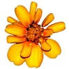 Embody the Temple Healing Arts - Logo