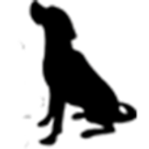 Spirit Ranch Dog Training at Grand Lake - Logo