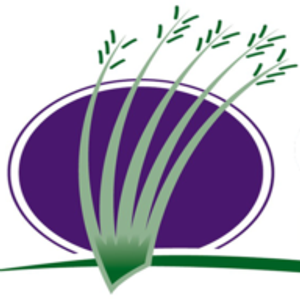 Clark's Services - Logo
