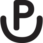 Rocking P Vet Services - Logo