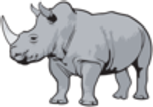 The Healthy Rhino