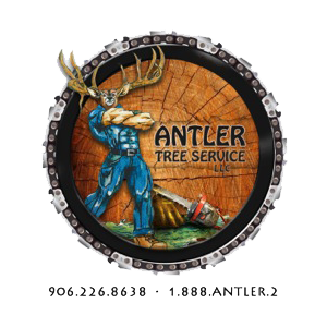Antler Tree Service, LLC - Logo