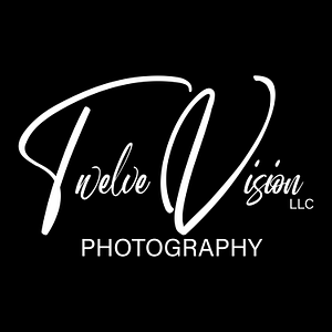 Twelve Vision LLC
