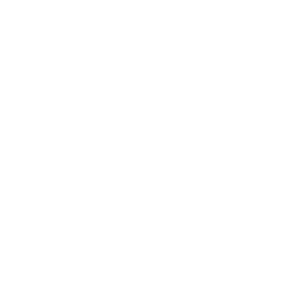 Door Champs - Logo